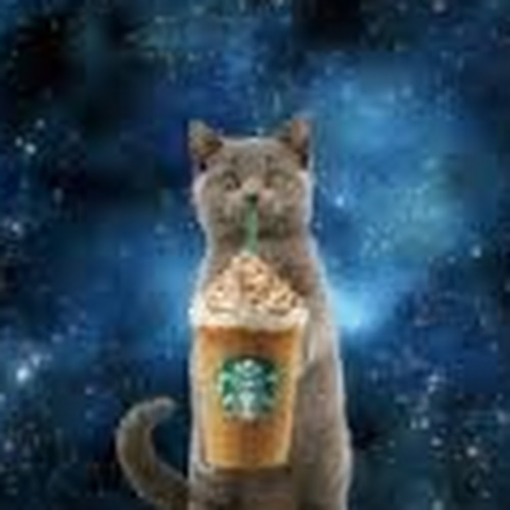 Meet your Posher, Kaylee